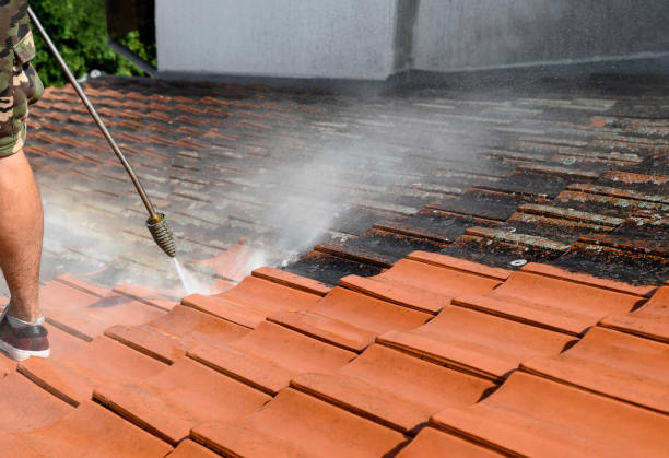 Best Concrete Pressure Washing  in Genesee, CO